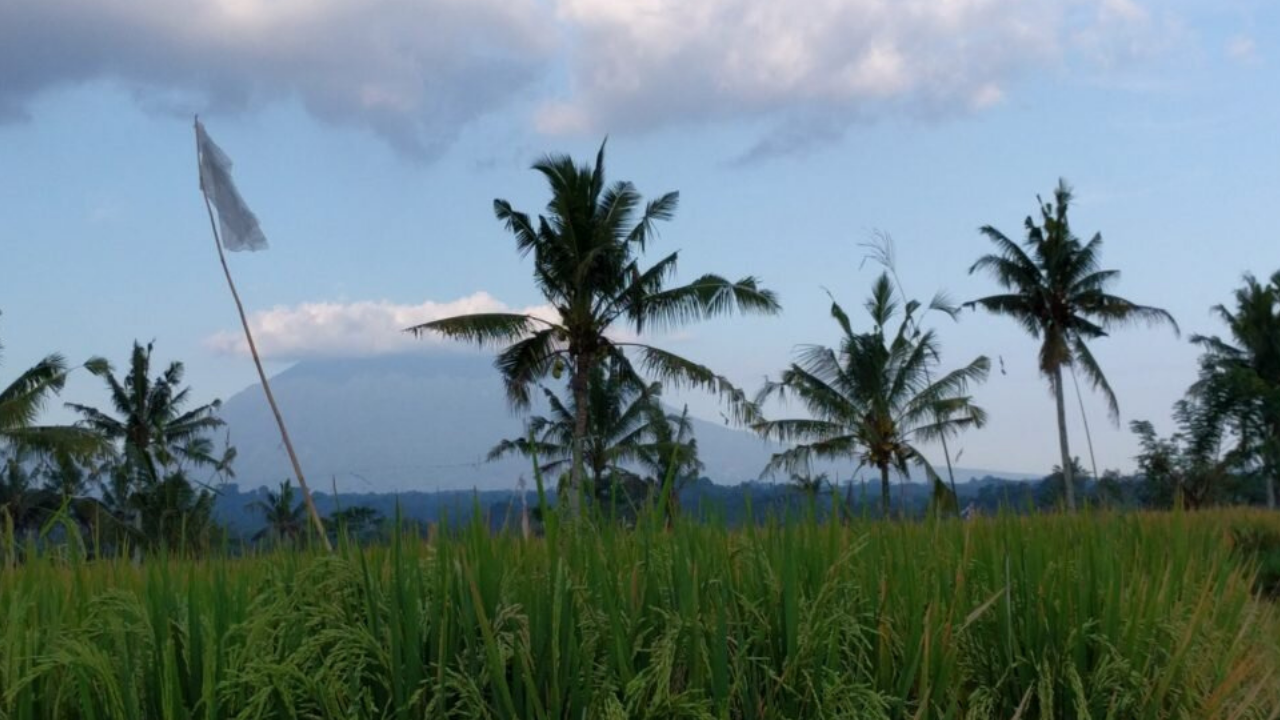 My days at the Green School in Bali